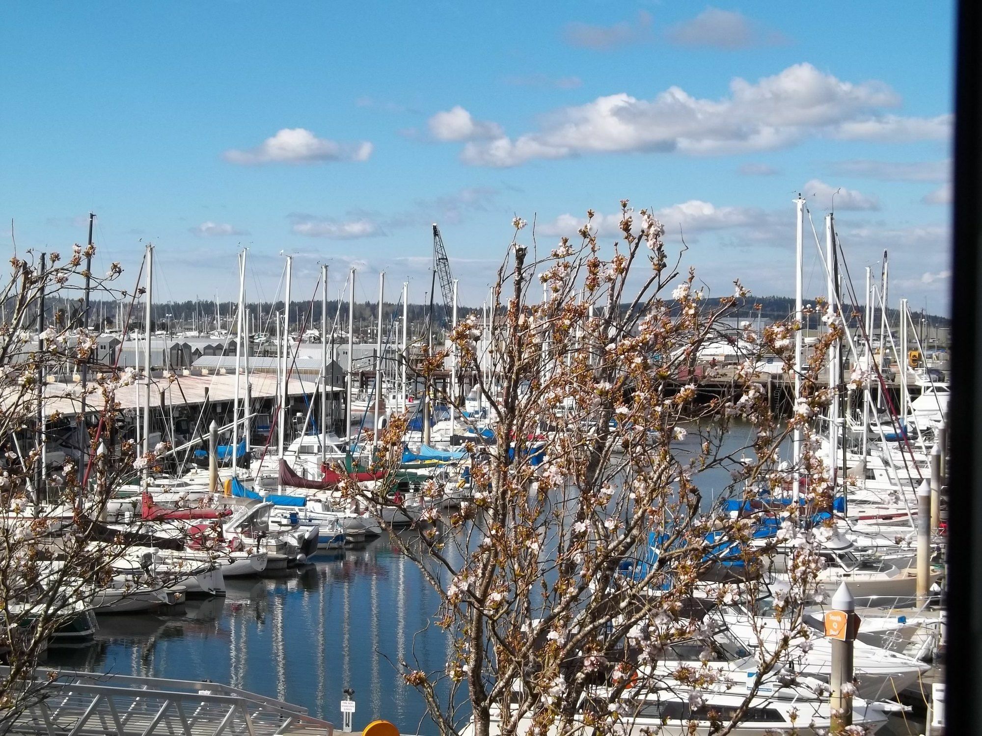 Inn At Port Gardner-Everett Waterfront, Ascend Hotel Collection Exterior foto